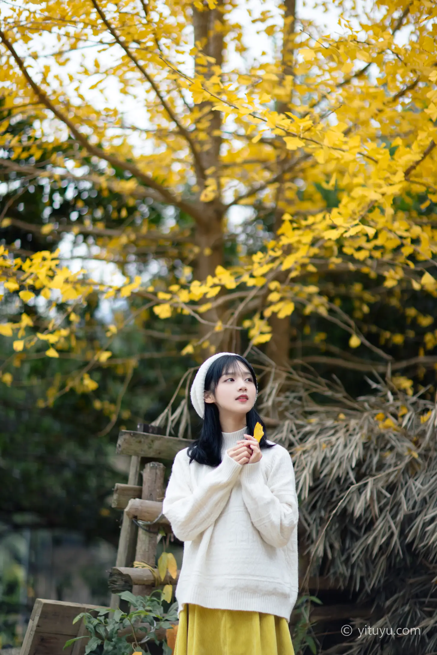 [YITUYU] 2021.08.14 Vol.131 – Ginkgo Love Yuwen#[39P]-4